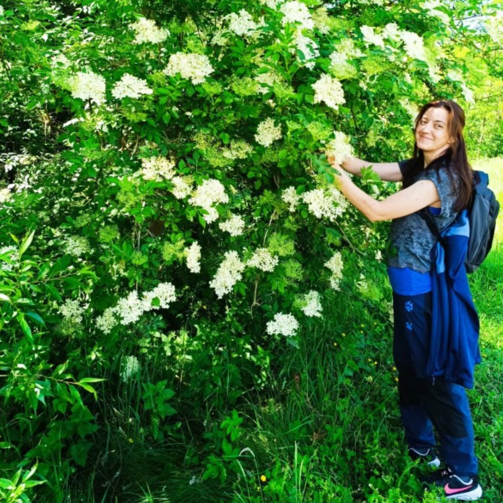 Sav frunze de lămâie și ierburi în apă, ideal pentru bucătărie fără gluten.