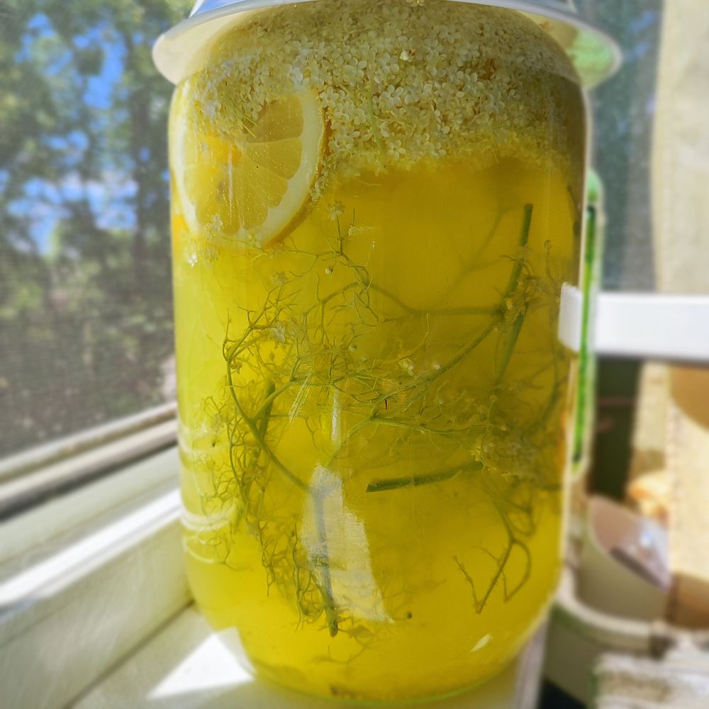 Sav frunze de lămâie și ierburi în apă, ideal pentru bucătărie fără gluten.